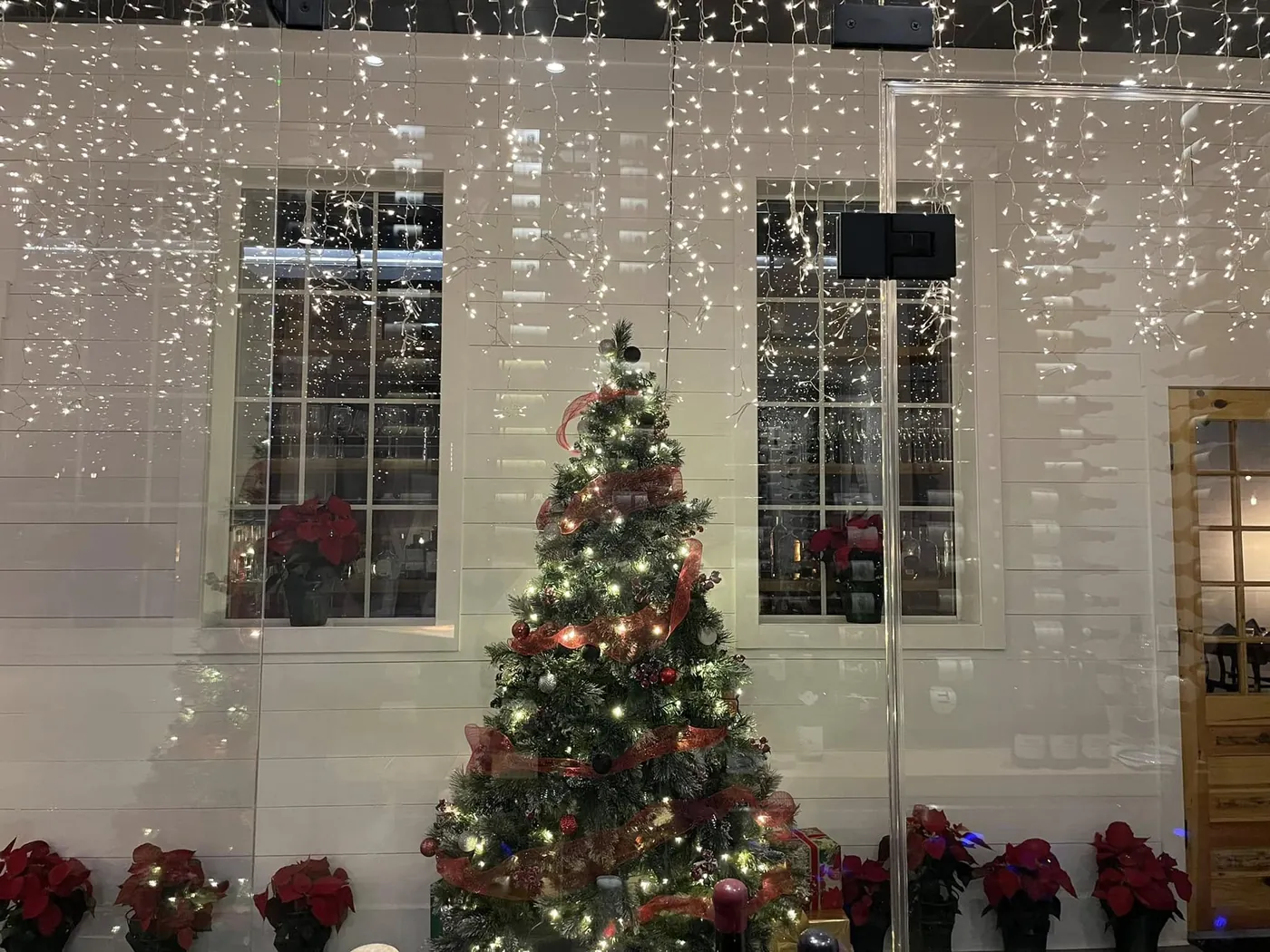 White home front with icicle lights, a decorated tree and red poinsettias